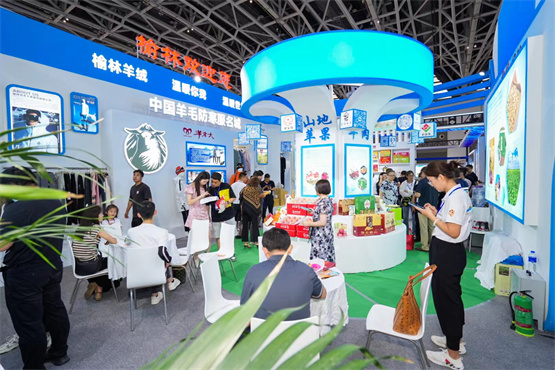 陕外集团·2023中国（西安）电子商务博览会成功举办(图5)