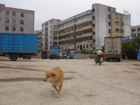 中国电子往事——六段浪奔浪流的故事(图12)