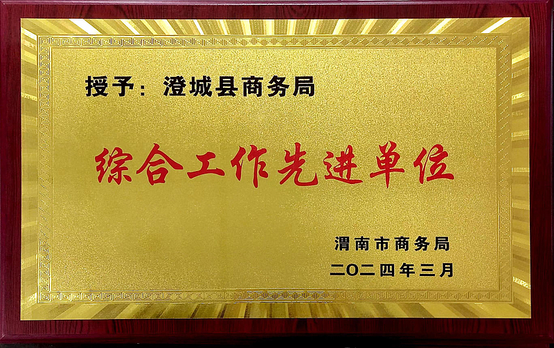 喜报！县商务局荣获渭南市2023年度商务综合工作和促消费工作先进单位(图2)