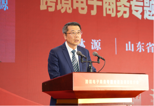 全市推进高水平开放高质量招商引资暨第四届潍坊发展大会跨境电子商务专题对话及项目推介会举行(图3)