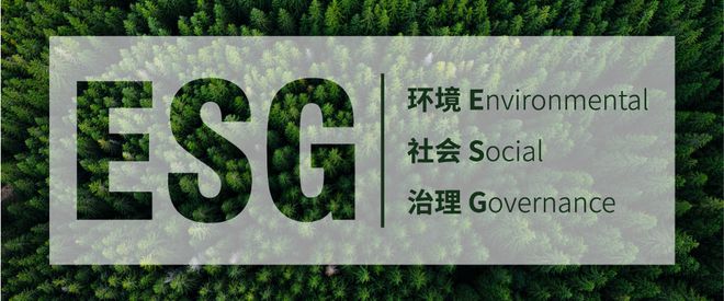 实业为本八方共赢！上市23年红豆股份的 “不变”与“变”(图3)