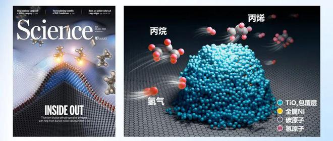 突破性研究成果！祝贺我国科学家(图2)
