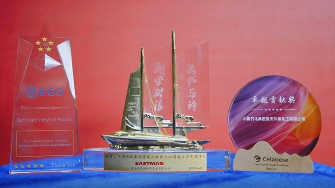 无缝对接！川维化工与海关电子口岸平台实现直连(图4)