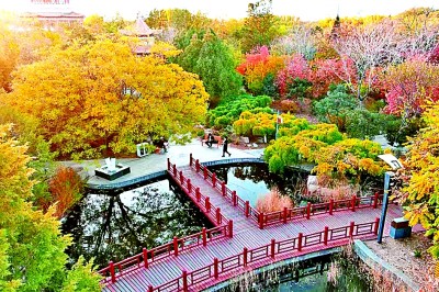 一座资源型城市的蝶变新生——内蒙古乌海市因地制宜走绿色发展之路(图2)
