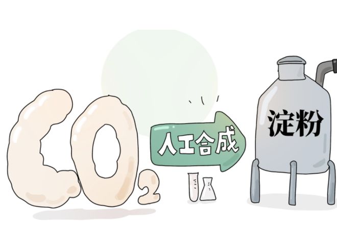 即将量产！中国再创世界第一以后粮食不从土里长靠化工合成？(图16)