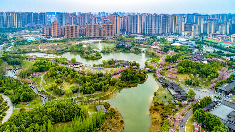 成都青白江区：赓续“制造强区”书写新质新篇(图5)